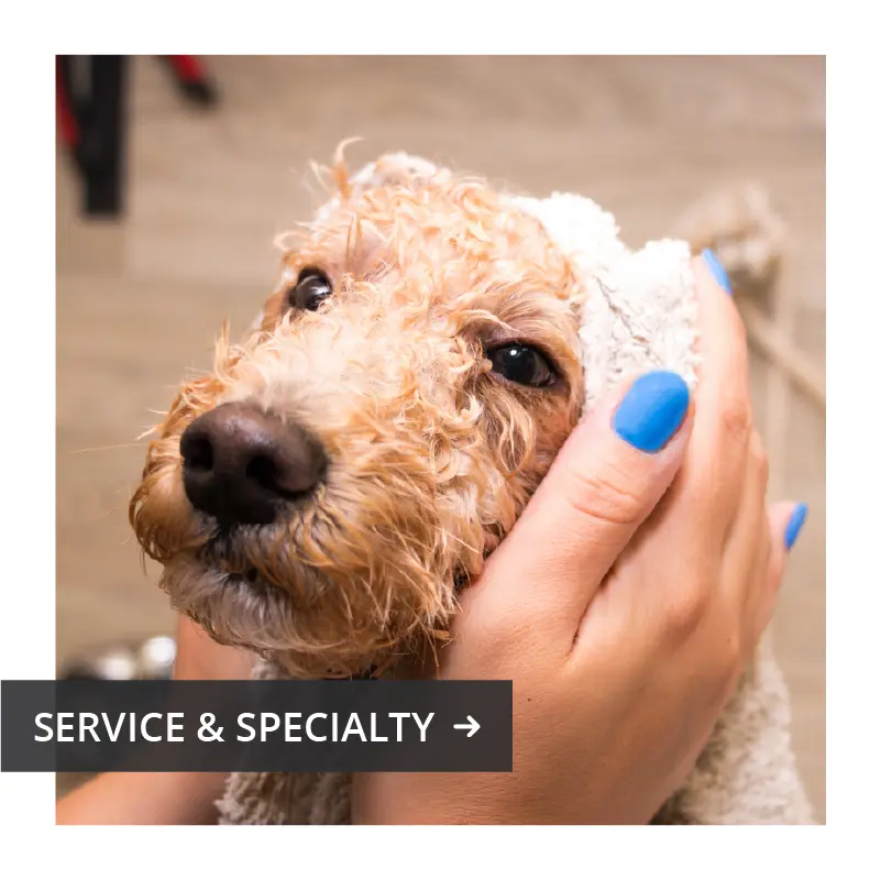 vacaville-commons-service-specialty.jpg service and specialty tile, links to service and specialty directory